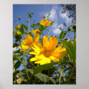 Search for cheery posters Nature
