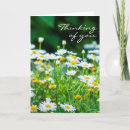 Search for thinking of you sympathy cards Funeral