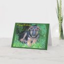 Search for german shepherd puppy cards Original