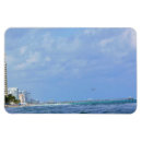 Search for forte magnets Ocean