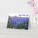 Search for sunset mothers day cards Floral