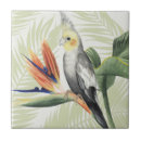 Search for tiles Orange