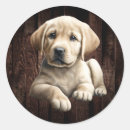 Search for yellow lab stickers Pink