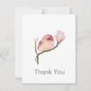 Search for all vertical note cards Animal