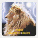 Search for species stickers Lion