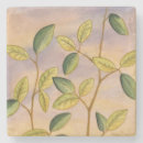 Search for backgrounds coasters Green