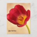 Search for yellow tulips thank you cards Pink