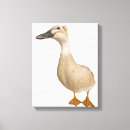 Search for three ducks art Birds