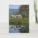 Search for bob cards Horses