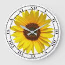 Search for sunflower clocks Flowers