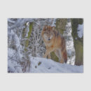 Search for wolf tissue paper Snow