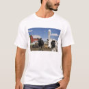 Search for silo tshirts Wisconsin