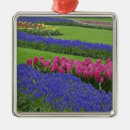 Search for grapes grape christmas tree decorations Green