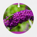 Search for cricket christmas tree decorations Katydid