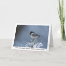 Search for coal christmas cards Pine
