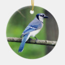 Search for blue jay bird christmas tree decorations Birdwatcher