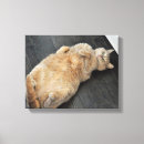 Search for tabby cat art Wall