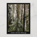 Search for christmas tree postcards Travel