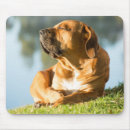 Search for gel mousepads Cute