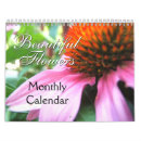 Search for original photography Flower