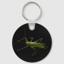 Search for flying insect key rings Black