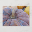 Search for thanksgiving recipes postcards Pumpkin