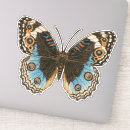 Search for lepidoptera stickers Insect