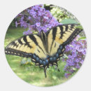 Search for bug pictures stickers Bugs