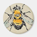 Search for bumble magnets Insects