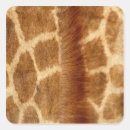 Search for giraffe spots stickers Nature