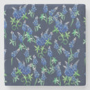 Search for bluebonnet kitchen dining Flower