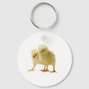 Search for baby chickens key rings Birds