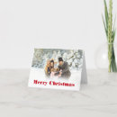 Search for plain christmas cards Red and white