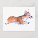 Search for funny corgis postcards Animal lover