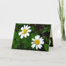 Search for makeup birthday cards Friend