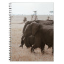 Search for races notebooks Vintage