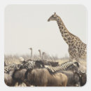 Search for namibia stickers Travel