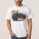 Search for silver fox tshirts Wildlife