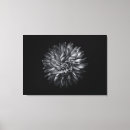 Search for black and white flowers canvas prints Nature