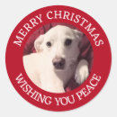 Search for puppy stickers White