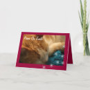 Search for orange cat christmas cards Tabby
