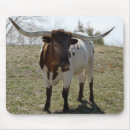 Search for rodeo mousepads Bull