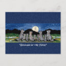 Search for watercolor wolf postcards Colourful