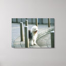 Search for tool canvas prints Horizontal