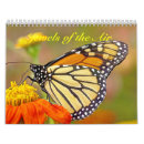 Search for air calendars Nature