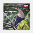 Search for costa magnets Wildlife