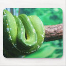 Search for boa electronics Python