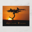 Search for african tree postcards Sunset