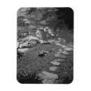 Search for details magnets Black and white