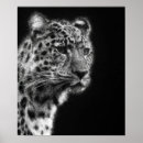 Search for faced art Animal